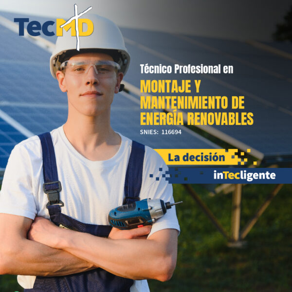 Técnico Profesional en Montaje y Mantenimiento de Energía Renovables